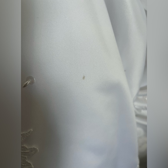 Plus Size Wedding Dress - size 22W White with beading and beautiful train - Picture 16 of 16